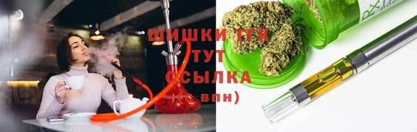 молекула духа Белоозёрский