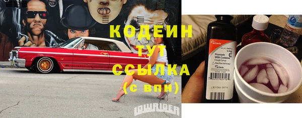 молекула духа Белоозёрский