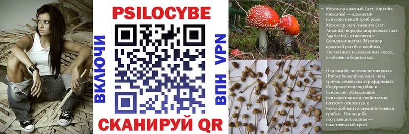 Галлюциногенные грибы Cubensis  Нижнекамск 
